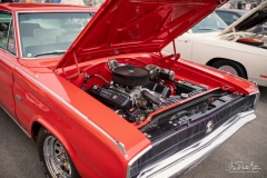 IMAGE_01544_hd_fpa